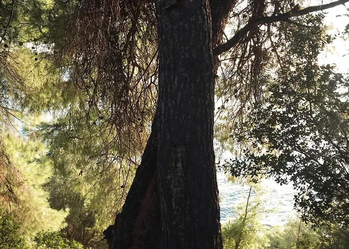 Sea Horizon Private With Panoramic Sea Views Villa Nea Skioni