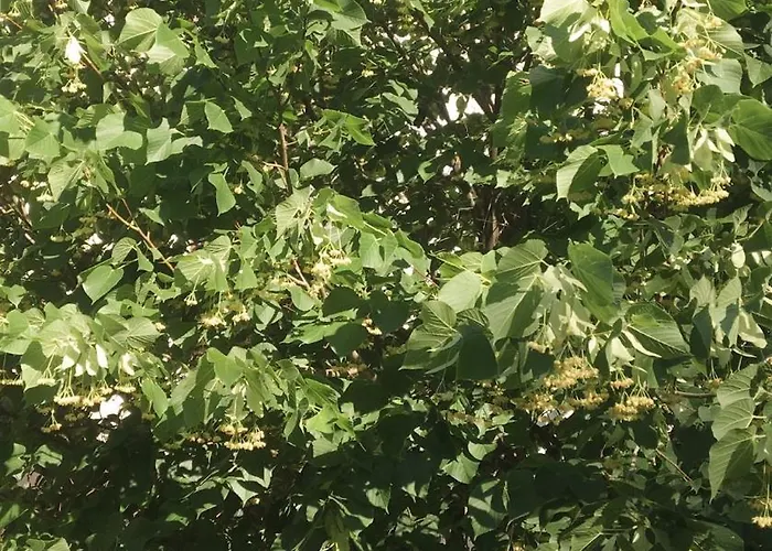 Villa Sea Horizon Private With Panoramic Sea Views