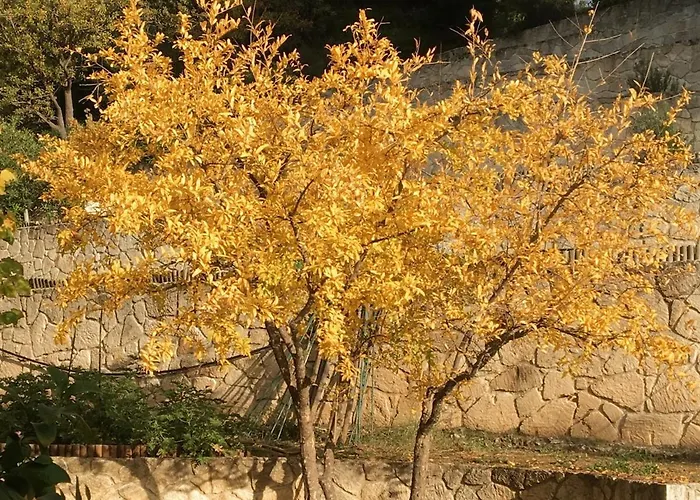 Sea Horizon Private With Panoramic Sea Views Nea Skioni